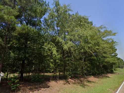 Affordable 0.19 Acres Close to Lake : Avinger : Marion County : Texas
