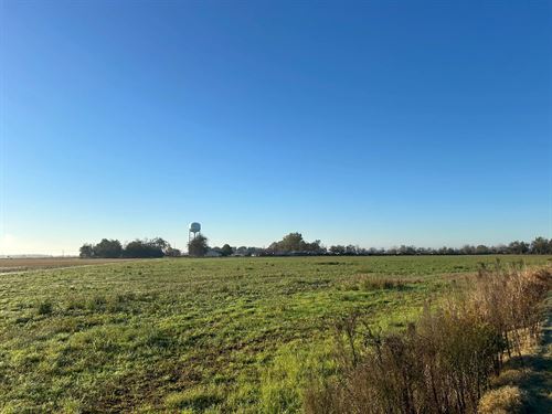 33 Acres In Coahoma County, MS : Clarksdale : Coahoma County : Mississippi