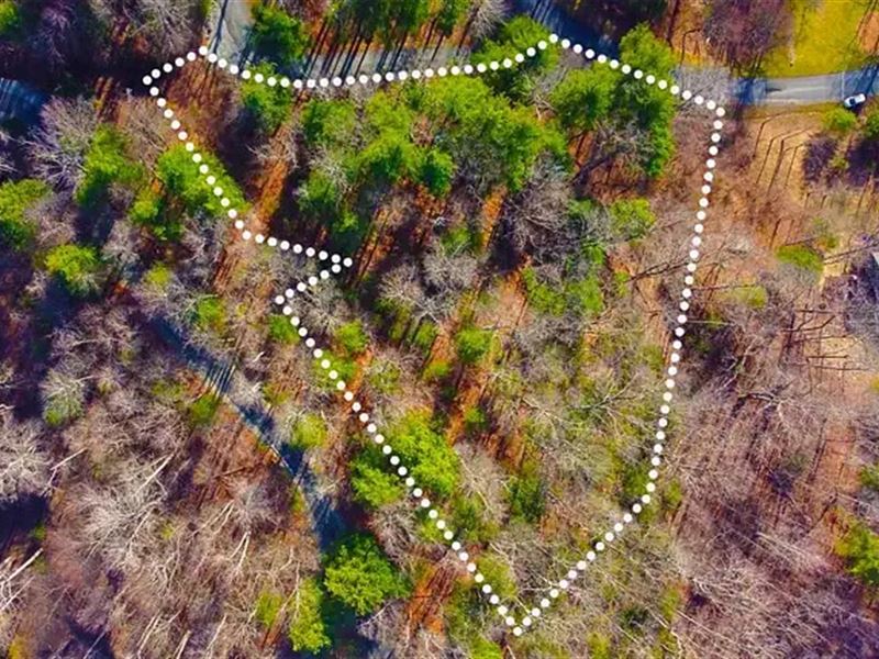 .91 Acre Only 25 Mins to Dupont : Hendersonville : Henderson County : North Carolina