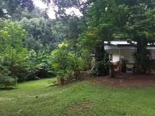 Beautiful Property for Sale : Cebadilla : Costa Rica