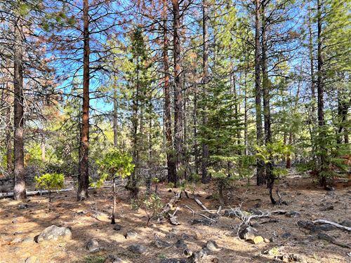 California for Outdoor Adventurers : Alturas : Modoc County : California