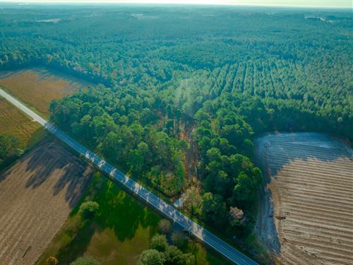 Bayboro 31B-2 : Loris : Horry County : South Carolina