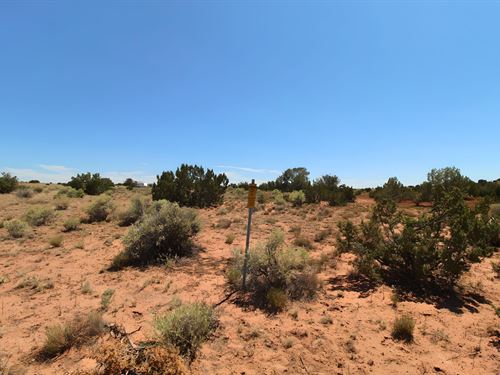 Get 2 Acres in Apache County, AZ : Saint Johns : Apache County : Arizona