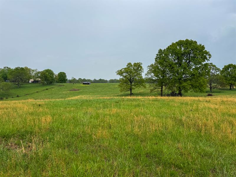 Cattle Farm for Sale in Southern MO : Koshkonong : Howell County : Missouri