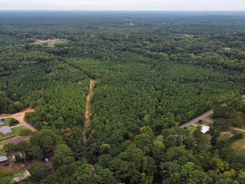 Attala County's Hidden Gem : Kosciusko : Attala County : Mississippi