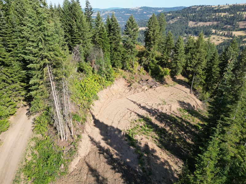1684 Tranquil Lane : Orofino : Clearwater County : Idaho
