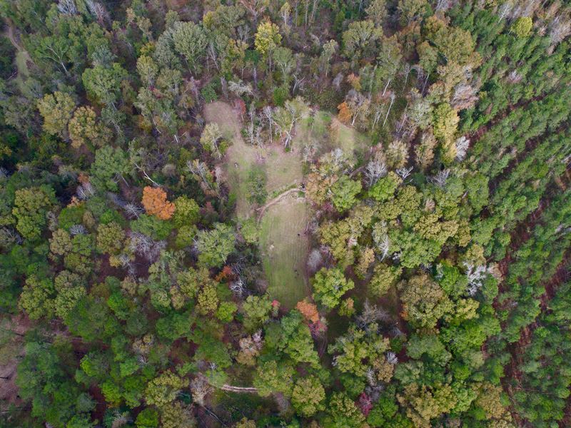 51 Acres in Caldwell Parish, LA : Columbia : Caldwell Parish : Louisiana