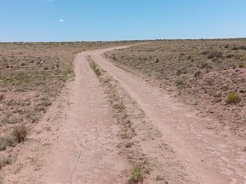 1.06 Acres Near Petrified Forest : Holbrook : Apache County : Arizona
