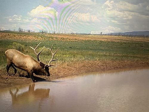 Buck Haven Ranch : Hesperus : La Plata County : Colorado
