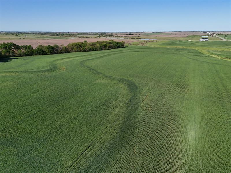 Appanoose Creek Farm : Overbrook : Douglas County : Kansas