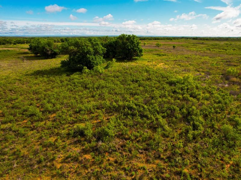 160 Acre Hunting Property Childress : Childress : Childress County : Texas