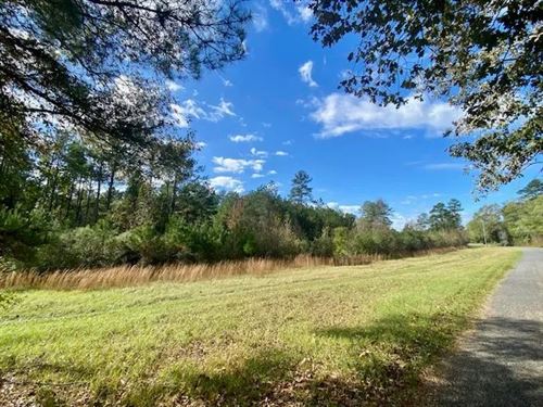 18.94 Acres On Gill Rd, Brookhaven : Brookhaven : Lincoln County : Mississippi