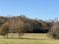 Quiet Oaks Lot 1 : Statham : Oconee County : Georgia