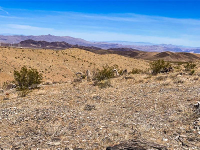 Only 42 Miles From Hoover Dam : Temple Bar Marina : Mohave County : Arizona