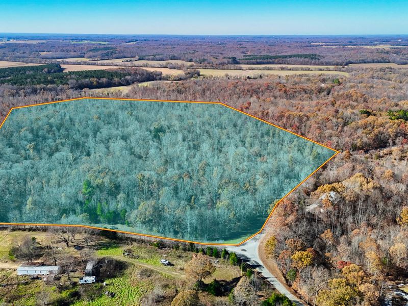 50 Acres Unrestricted Hunting Land : Mc Kenzie : Carroll County : Tennessee
