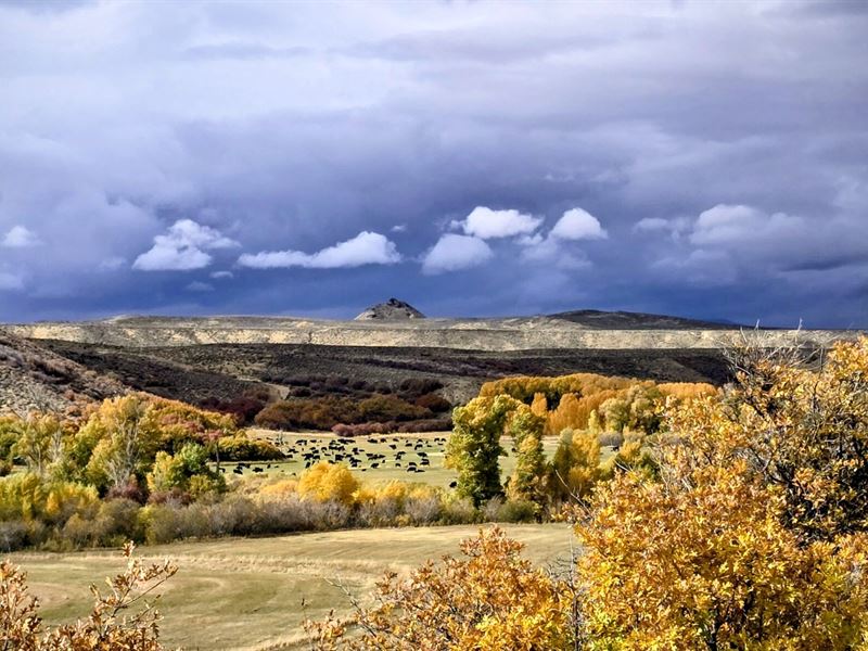 Slater Elk Ranch : Slater : Moffat County : Colorado