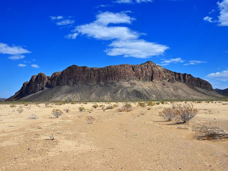 Camp Under The Stars Near Big Bend : Terlingua : Brewster County : Texas