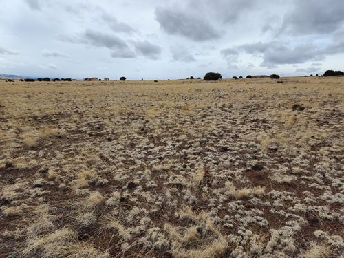 Shape Your Future, Apache County : Concho : Apache County : Arizona