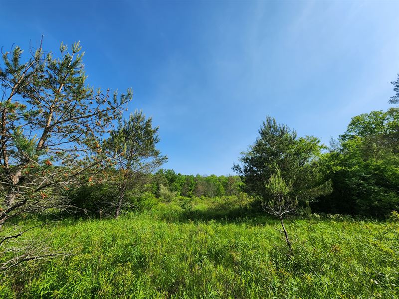 Finger Lakes Home Site : Erin : Chemung County : New York