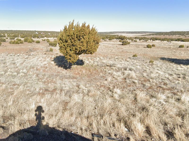 Look Forward to Off-Grid Weekend : Concho : Apache County : Arizona