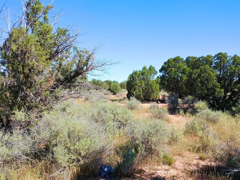 Elevated, Big Views, $275-$450/Mo : Snowflake : Navajo County : Arizona