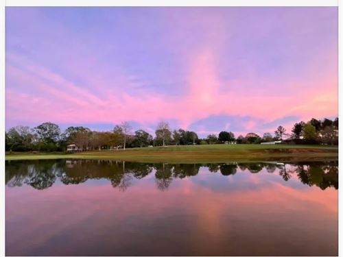 3 Residences On 23 Acres, Kentwood : Kentwood : Tangipahoa Parish : Louisiana