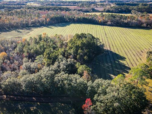 Brooks County Hobby Farm : Pavo : Brooks County : Georgia