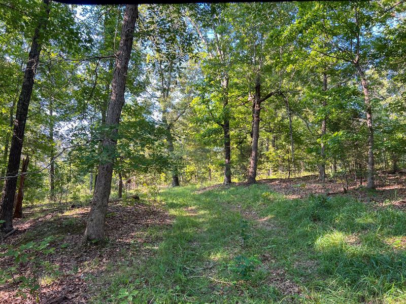 The Stairway : West Plains : Howell County : Missouri