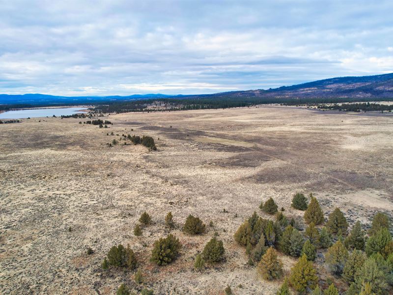 160 Acres Bordering National Forest : Bly : Klamath County : Oregon
