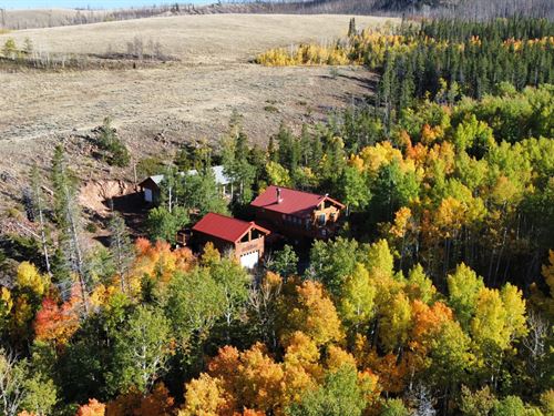 Aspen Creek Cabin : Albany : Wyoming