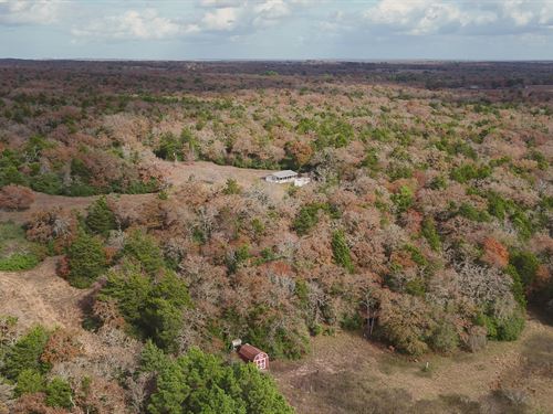 147 Acres in Milam County : Rockdale : Milam County : Texas