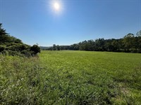 SR 155 Tract 3, 63 Acres, Perry : Corning : Perry County : Ohio