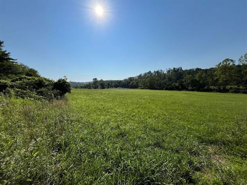 SR 155 Tract 3, 63 Acres, Perry : Corning : Perry County : Ohio