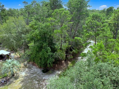 Build High and Dry in Florida : Satsuma : Putnam County : Florida
