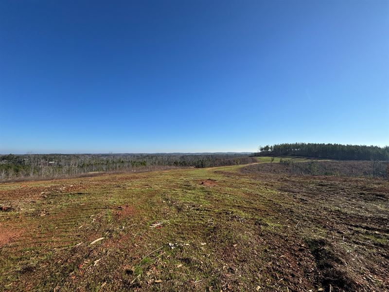 77 Acres, Chambers County : Five Points : Chambers County : Alabama
