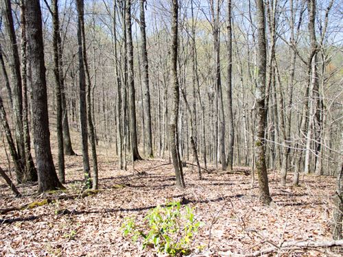 Owner Finance, No Credit Check : Livingston : Rockcastle County : Kentucky