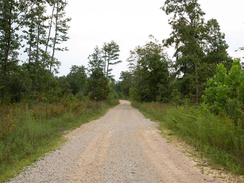 No Credit Check, Beautiful Land : Birch Tree : Shannon County : Missouri