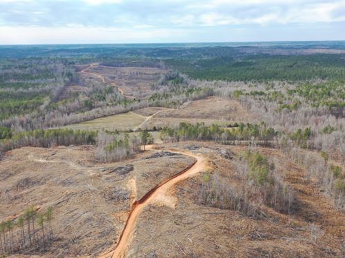 No Credit Check and $999 Down : Sulligent : Lamar County : Alabama