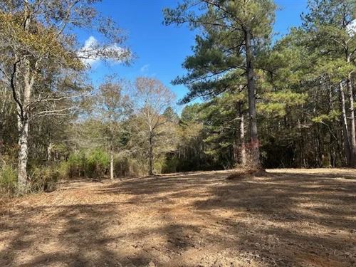 7.97 Acres In Summit Mississippi : Summit : Pike County : Mississippi