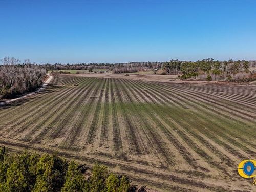 Grist Mill Northwest : Timmonsville : Florence County : South Carolina