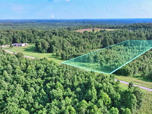 Power, Well, Fiber Internet, No HOA : Indian Mound : Stewart County : Tennessee