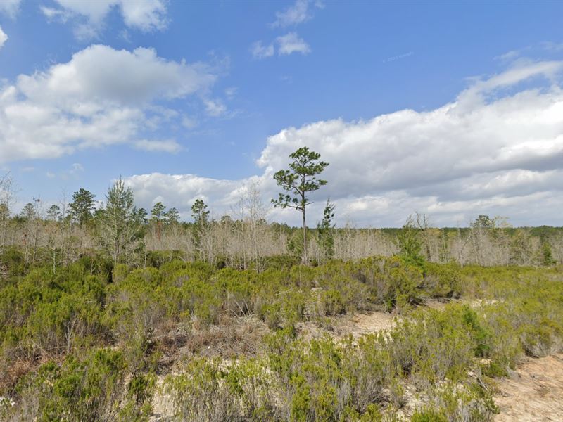 .21 Acre Ready to Build Land : Interlachen : Putnam County : Florida
