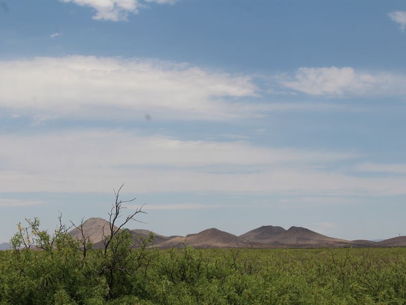 Deming, NM 4.77 Acres Only $279/Mo : Deming : Luna County : New Mexico