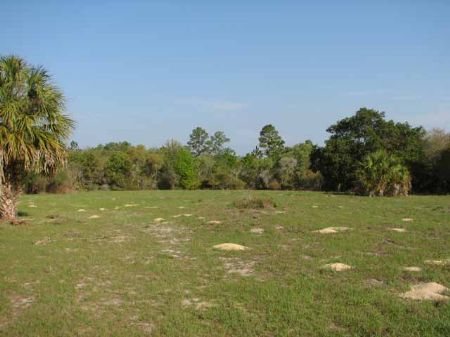 5.46 Acres W/ Well, Septic & Power : Chiefland : Levy County : Florida