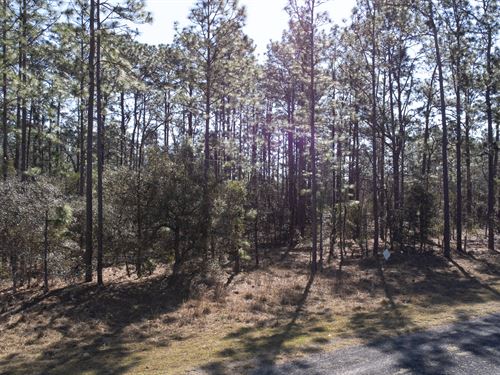 Enjoy Sunsets in Your Backyard : Dunnellon : Levy County : Florida