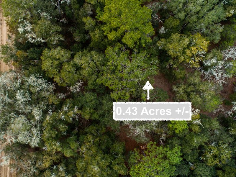 Explore 0.43 Acres of Possibility : Interlachen : Putnam County : Florida