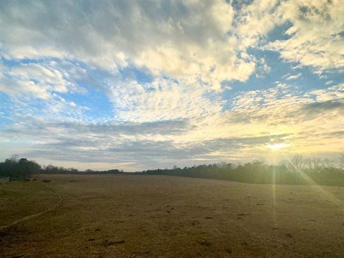 Reduced, Fairview Farm-114 Acres : Clanton : Chilton County : Alabama