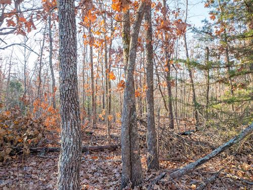 No Credit Check and $999 Down : Mammoth Spring : Fulton County : Arkansas