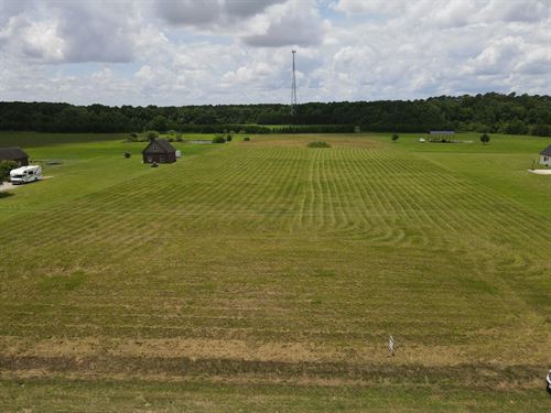 Land For Sale in Headland AL 5 ac : Headland : Henry County : Alabama