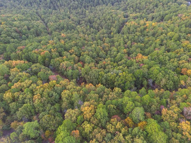 Wooded Lot for Cozy Vacation Escape : Hot Springs Village : Saline County : Arkansas